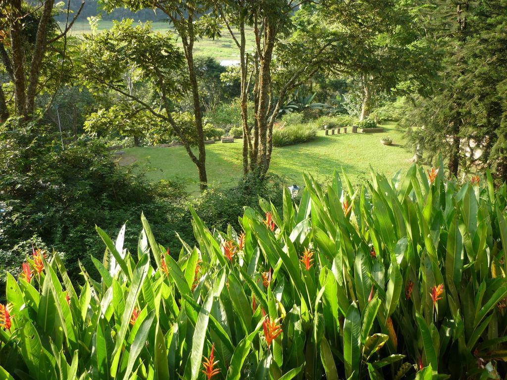 Eco Pousada Figueira Grande Piracaia Ngoại thất bức ảnh