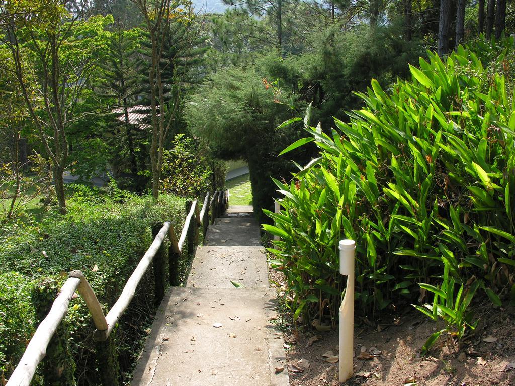 Eco Pousada Figueira Grande Piracaia Ngoại thất bức ảnh